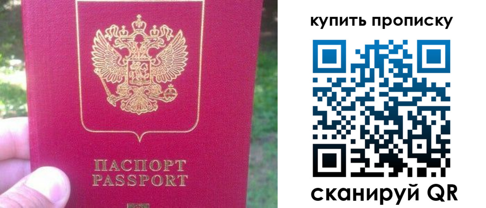 временная регистрация для школы в Кимрах